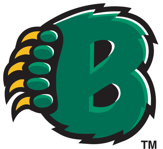 Baylor Bears 1997-2004 Alternate Logo v2 diy fabric transfer